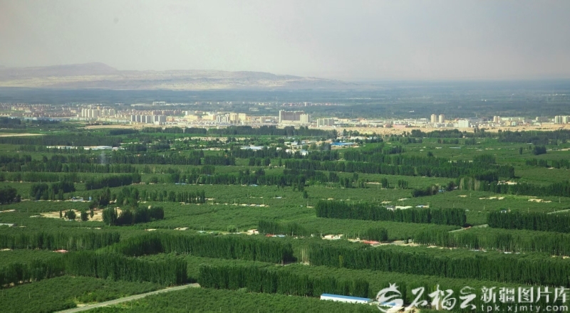 致敬新疆榜样丨柯柯牙工程建设者群体：执“绿”为笔绘就戈壁新画卷