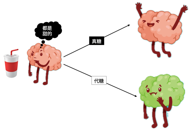 无糖甜饮料真的不能天天喝！最新研究又添有害证据
