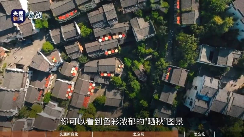 秋日出游遇上丰收季 哪里景色美、美食多？来看出行指南