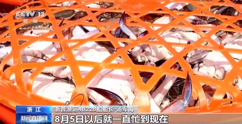 开渔期赶海忙 鲜活海产“游”进市场
