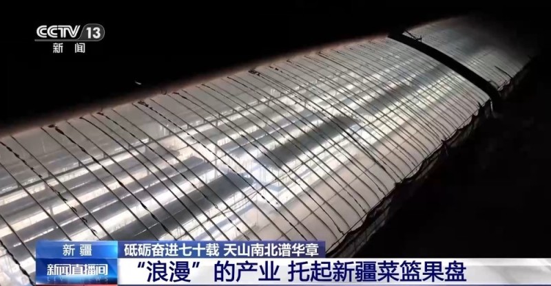 砥砺奋进七十载 天山南北谱华章丨沙漠上的“浪漫”产业 托起新疆菜篮果盘