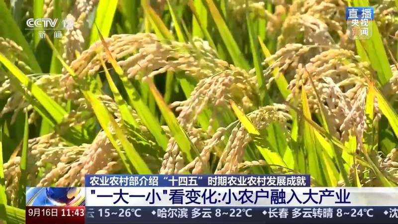 “十四五”时期农业农村发展有何变化与成效？几个关键词告诉你