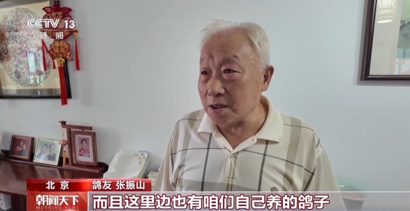 抗战胜利80周年纪念活动将放飞的和平鸽与气球基本就绪