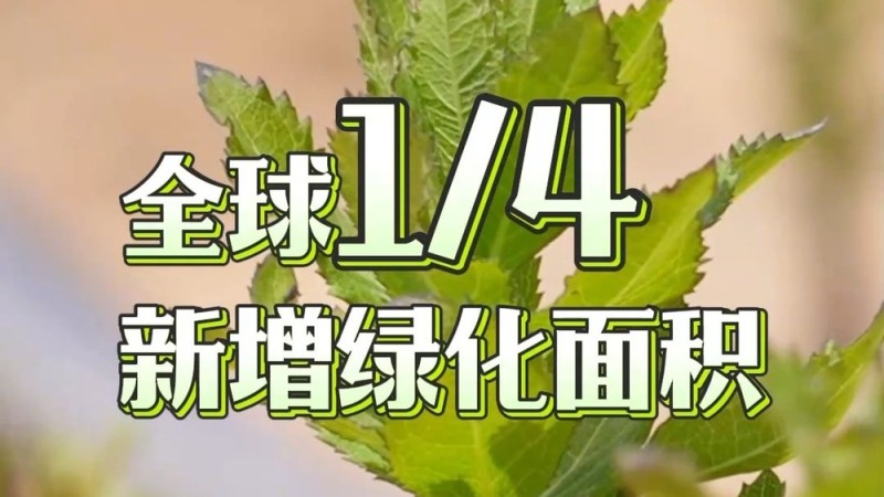 从 “不毛之地” 到希望之田 中国式治沙固碳又增收
