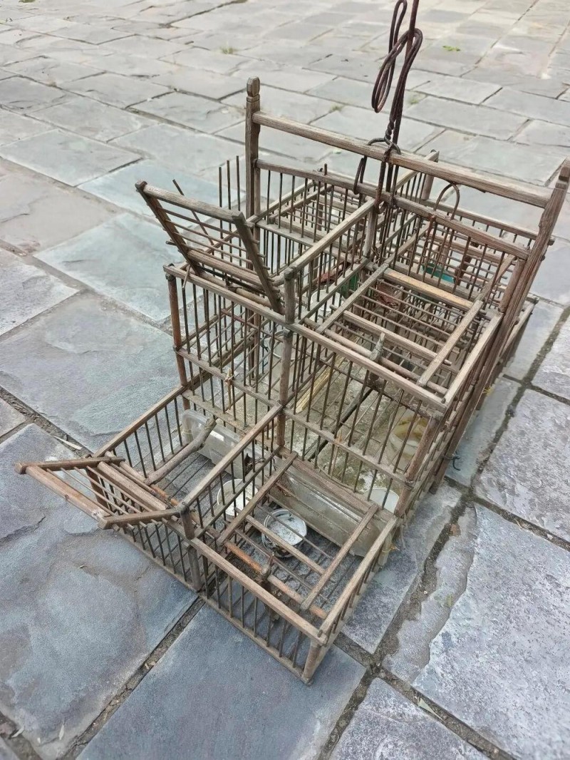 抵制非法捕猎野生动物 看到这种笼子要马上举报