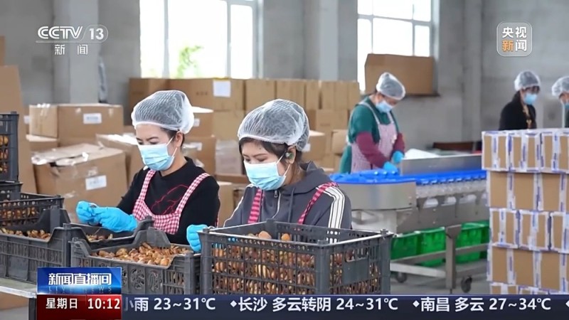 在山川间“穿针引线”  沈白高铁里的全国首创科技含量拉满