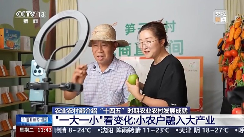 “十四五”时期农业农村发展有何变化与成效？几个关键词告诉你