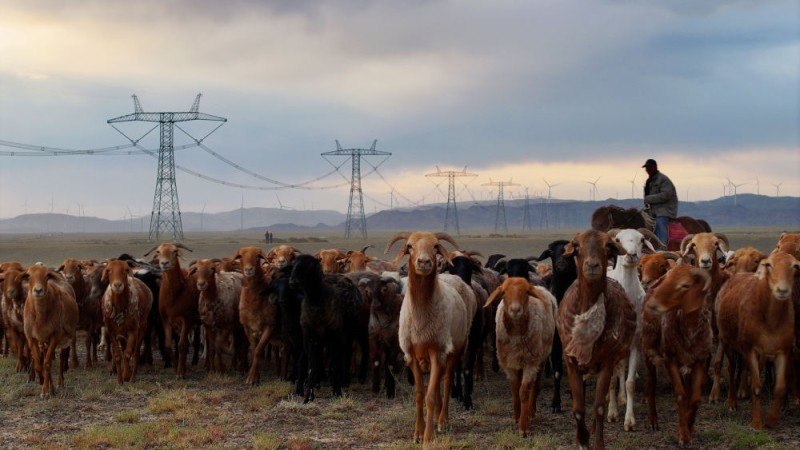 潮涌新疆70年 风光新涌：绿电“追风逐日” 点亮万家灯火