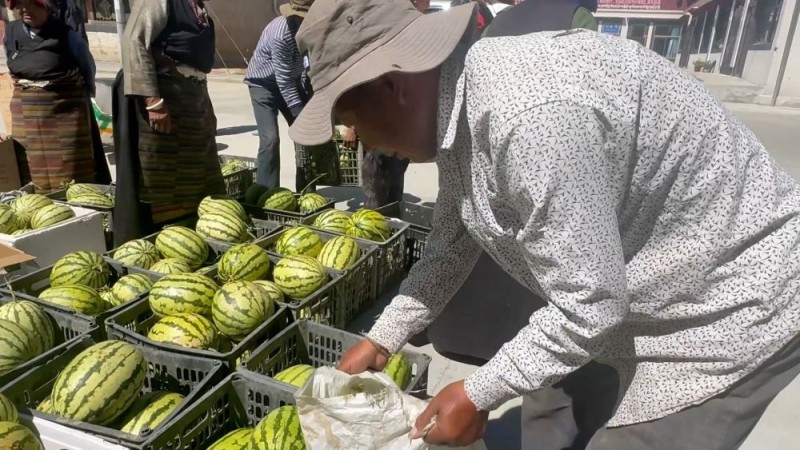 新华视点｜金秋丰收画卷：特色产业富农家 科技赋能稳粮仓