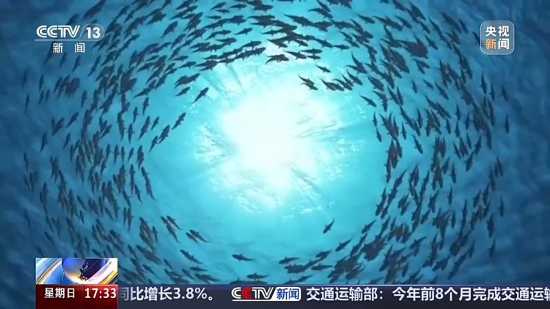 我国海底油气管道装备技术能力达到国际先进水平