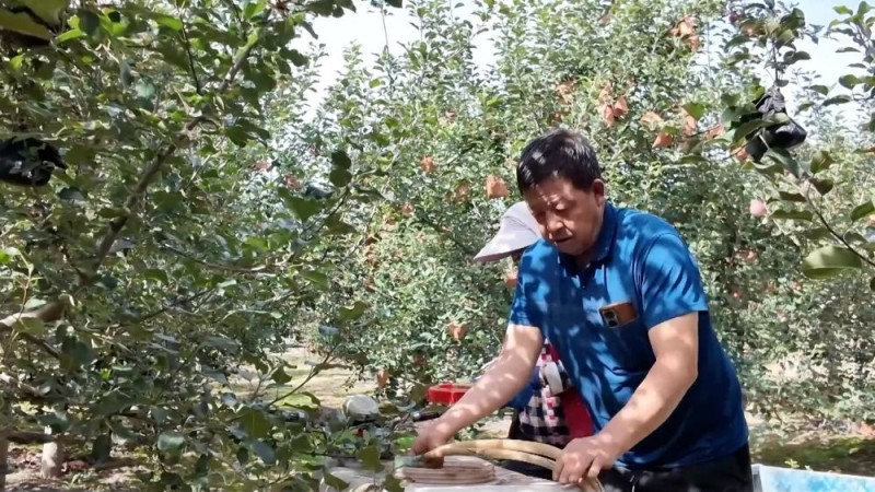 新华视点｜金秋丰收画卷：特色产业富农家 科技赋能稳粮仓