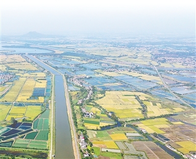 我国再添四处世界灌溉工程遗产（新时代画卷）