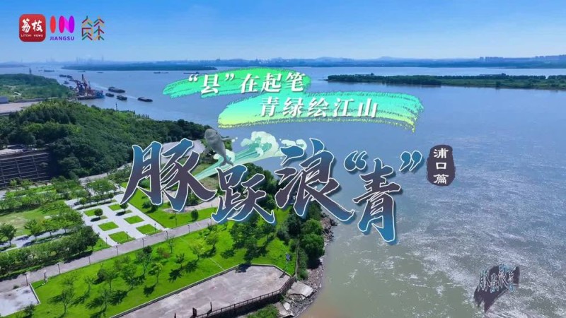“县”在起笔 青绿绘江山 | 春江十里 豚跃浪“青”