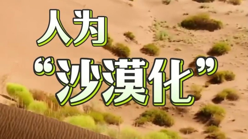 从 “不毛之地” 到希望之田 中国式治沙固碳又增收