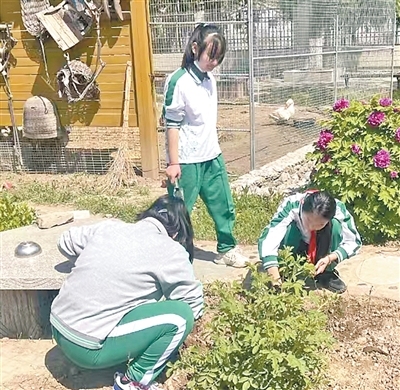 我国再添四处世界灌溉工程遗产（新时代画卷）