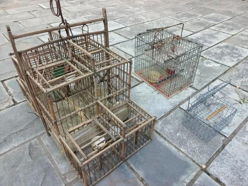 抵制非法捕猎野生动物 看到这种笼子要马上举报
