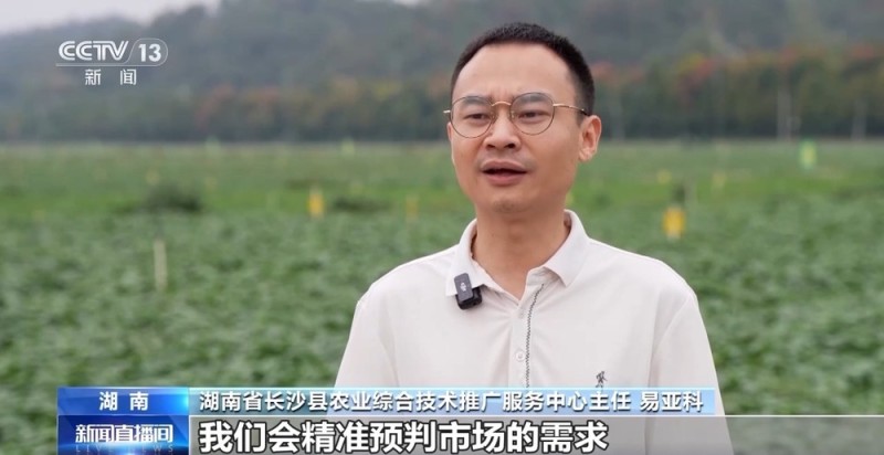 从田间到餐桌全链条保障 双节“菜篮子”量足质优