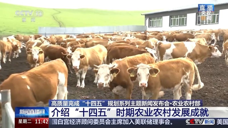 “十四五”时期农业农村发展有何变化与成效？几个关键词告诉你