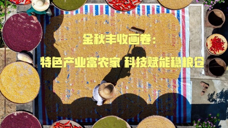 新华视点｜金秋丰收画卷：特色产业富农家 科技赋能稳粮仓