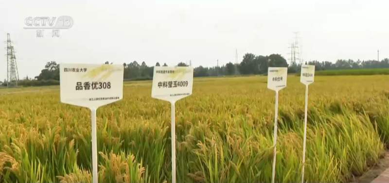 “良种良技+智慧农机”为秋收保驾护航 科技为丰产丰收“添码加力”