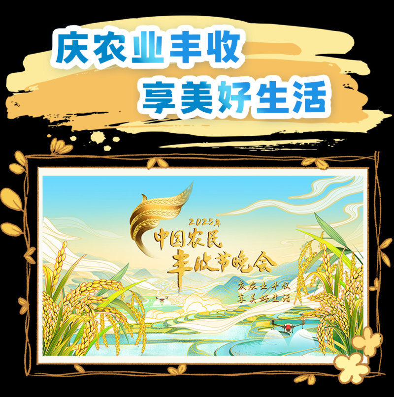 总台周看点丨“丰”景正好石榴红！