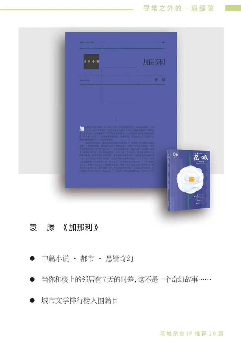 去辽阔处！“花城文学周”精彩活动点亮阿勒泰