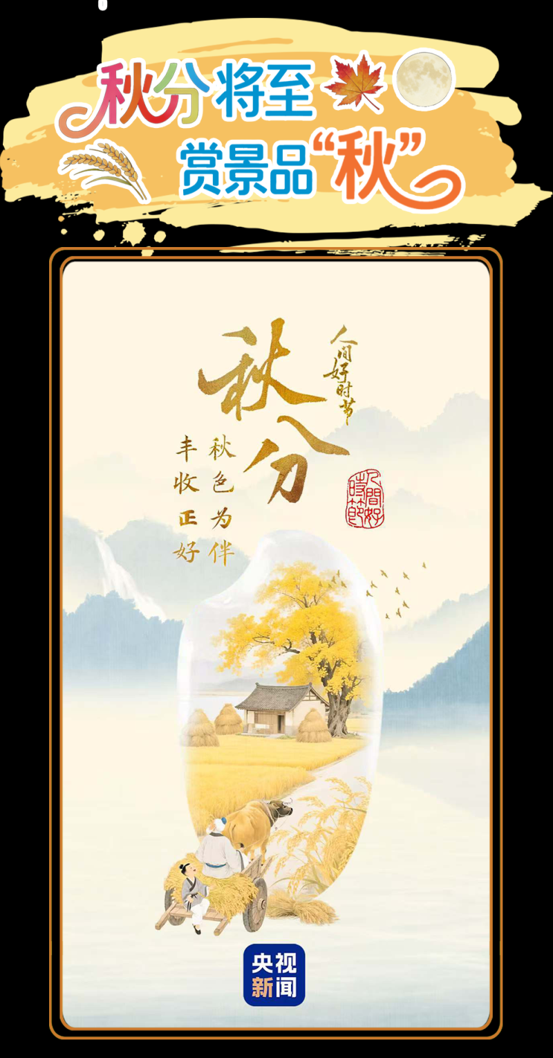 总台周看点丨“丰”景正好石榴红！