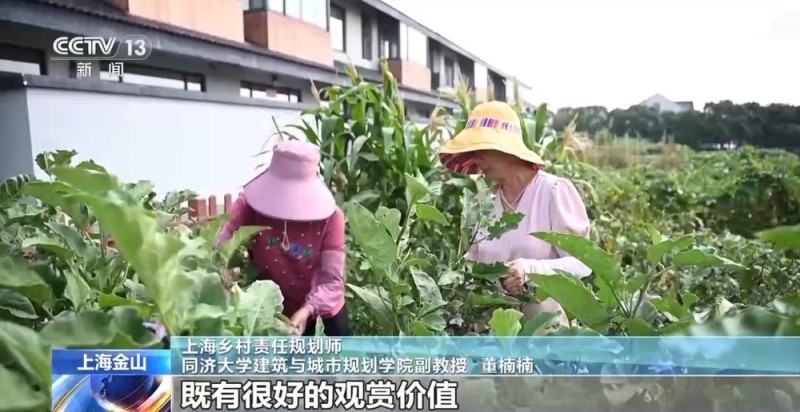 有好颜值也有好价值 “水上村庄”如何变得“火”起来？