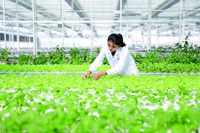 新疆维吾尔自治区70年发展成就斐然――同心共筑梦 天山绽新颜