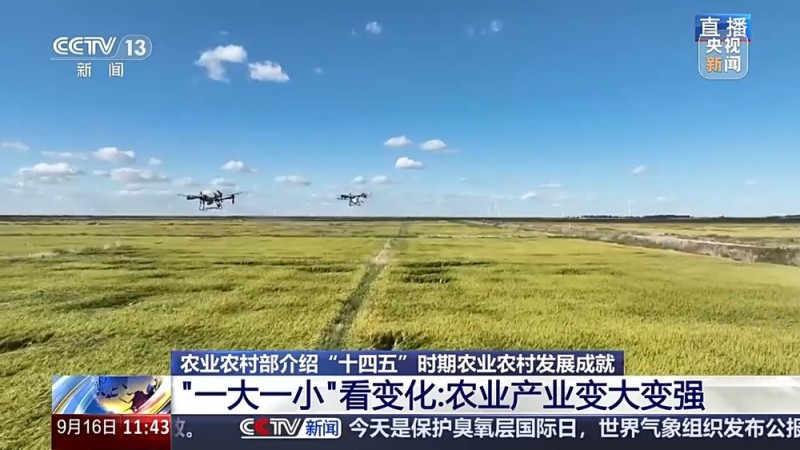 “十四五”时期农业农村发展有何变化与成效？几个关键词告诉你