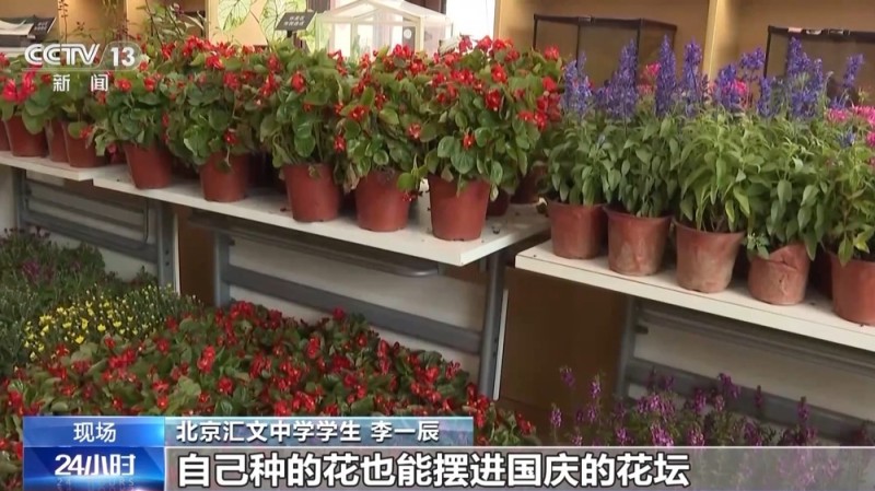 为祖国献礼 北京市民培育的850盆鲜花将亮相长安街