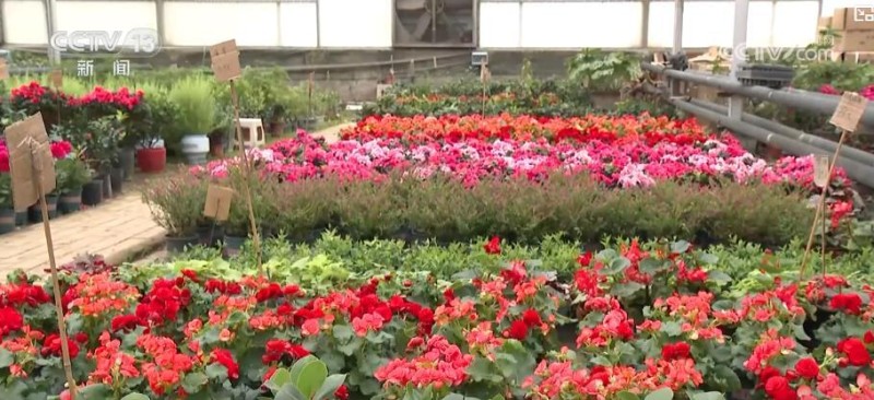 国庆中秋双节将至 各地营造喜庆氛围迎接佳节