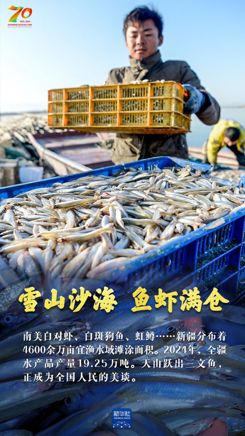 巨变70年｜天山南北“丰”景如画
