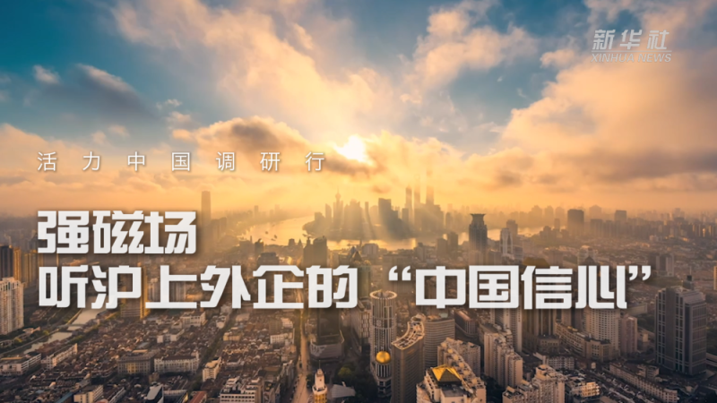活力中国调研行｜强磁场――听沪上外企的“中国信心”