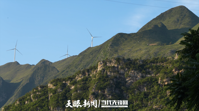 桥下人家｜是交通桥，更是我们的“致富桥”