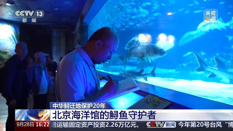 “保姆级”保育精心呵护 海洋馆里“鲟鱼爸爸”的暖心日常