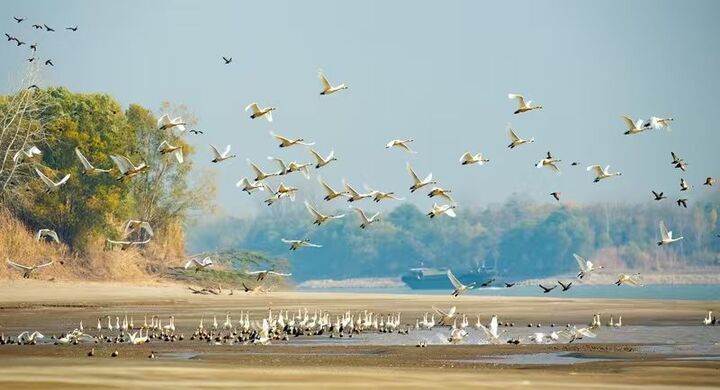 青春华章｜守护一江碧水，跑好生态文明“接力赛”