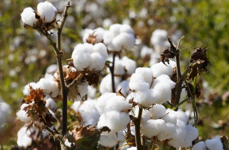 青春华章丨水利合作惠及各国人民 中国为全球水治理贡献中国智慧