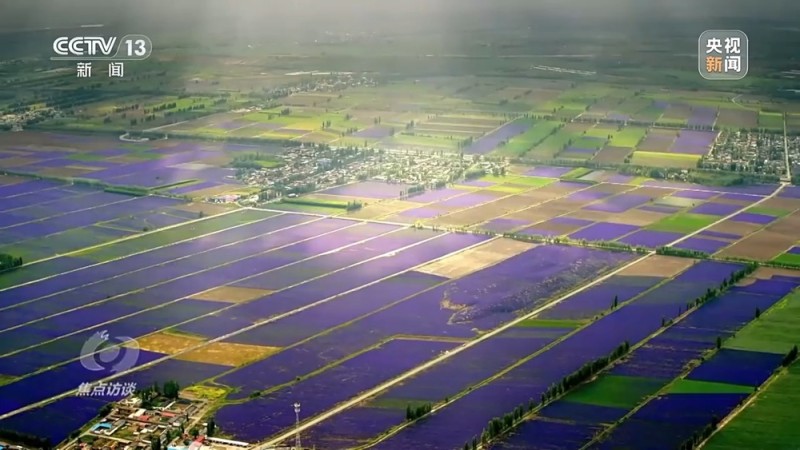 焦点访谈丨产业兴、动能新、活力旺 新画卷正在新疆徐徐展开