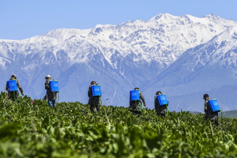 我在现场・光影流年｜天山之下 绿洲新韵