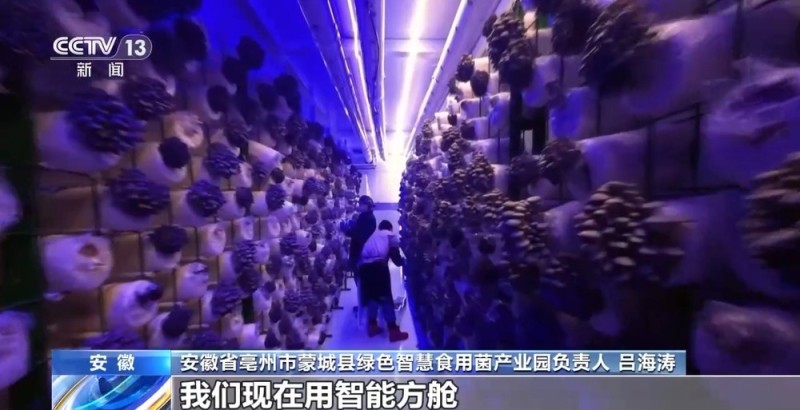 从田间到餐桌全链条保障 双节“菜篮子”量足质优