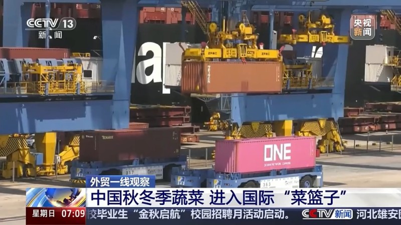 外贸一线观察丨从论斤卖到论克卖 科技撑腰让水果增价值