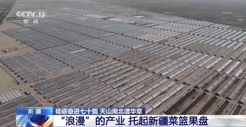 砥砺奋进七十载 天山南北谱华章丨沙漠上的“浪漫”产业 托起新疆菜篮果盘