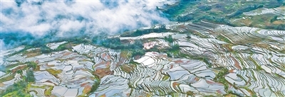 我国再添四处世界灌溉工程遗产（新时代画卷）
