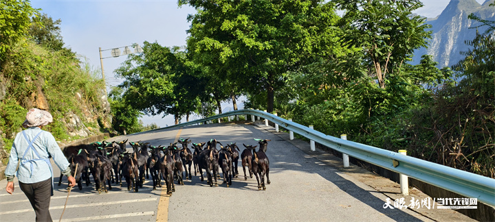 四访花江峡谷大桥｜我看见一座桥与一片土地的新生