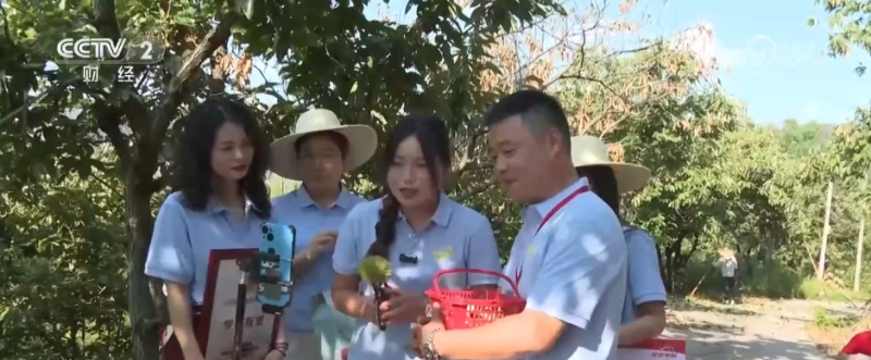 小果实“撬动”大产业 特色种植激活乡村振兴新动能