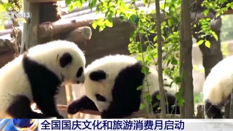 4.8亿元补贴来了！全国国庆文化和旅游消费月启动