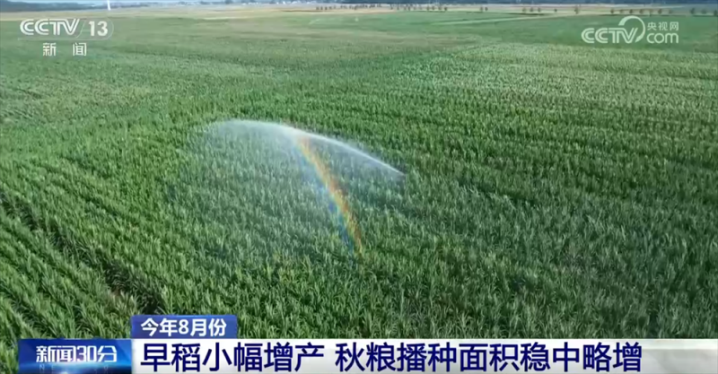 宏观政策“积极有为”助推国民经济运行总体平稳 高质量发展扎实推进