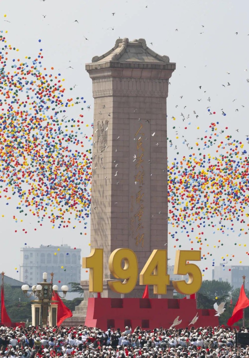 8万羽和平鸽是如何找到家的？遇到疑似“迷路鸽”该怎么办？一文了解