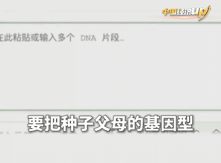 给饭碗装上硬核“智慧芯” 种田这件事被中国科技“炫”到了